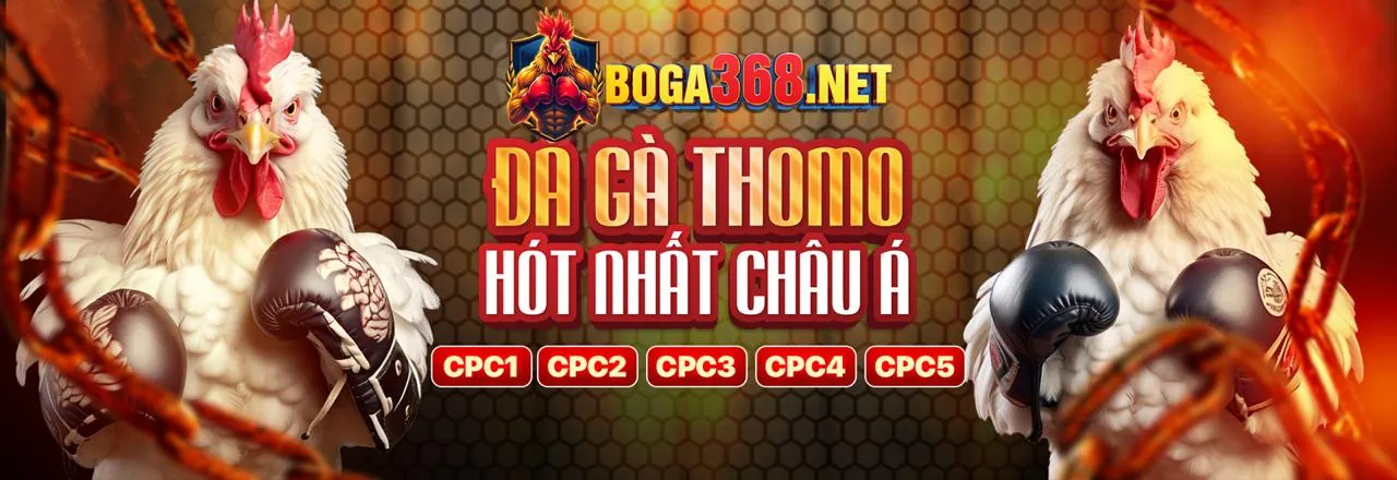 Đá gà trực tuyến 88vv88 với trận đấu đỉnh cao